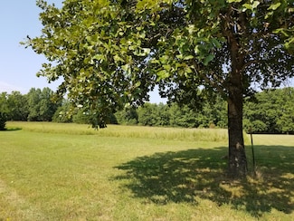 000 Whitetail Ln, Pontiac, MO 65729