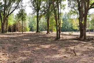0 Highway 483 Hwy Unit 1343430, Lena, MS 39094