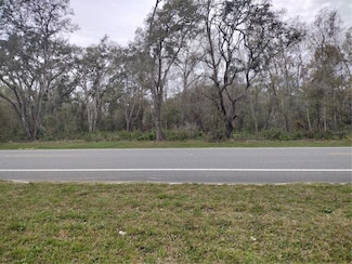 0 Treiman Blvd Unit MFRTB8352779, Webster, FL 33597