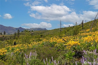 70 TBD Hill Dr, Twisp, WA 98856