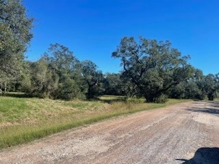 81 Center Tree Dr, Blessing, TX 77465