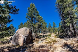 TBD Arrowhead Rd, Florissant, CO 80816