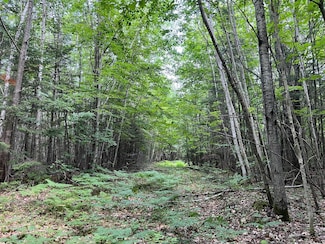 TBD Highway 2, Maple, WI 54854