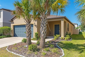17313 Bracken Fern Ln, Clermont, FL 34714