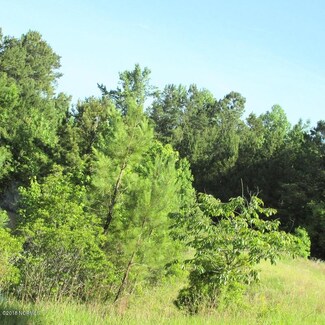 0 Camp Kirkwood Rd, Watha, NC 28478