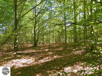 0 Rayle Rd Unit 1813676, Lake Ann, MI 49650