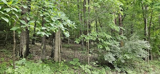 0 Major Grahams Rd, Max Meadows, VA 24360