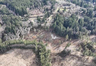 Lot 903 Pioneer Mountain Loop, Toledo, OR 97391