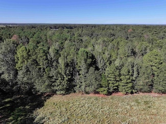 XXX Central Rd, Horatio, AR 71842