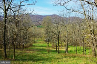 96 Mount Marshall Rd, Washington, VA 22747