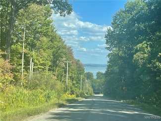 0 Bly Hill Rd Unit B1638488, North Harmony, NY 14710