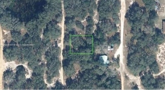 3196 N Hickory Rd, Avon Park, FL 33825
