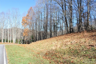 74 Poplar Forest Trace Unit 107, Hendersonville, NC 28739