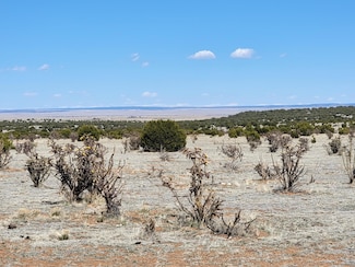 170 Brazos Loop, Estancia, NM 87016