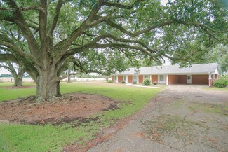 17214 La Hwy 331, Erath, LA 70533