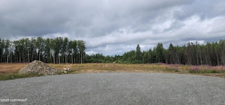 13458 W Exclibur Cir, Houston, AK 99694