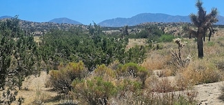 0 Avenue X 136th St E Unit SR23164424, Pearblossom, CA 93553