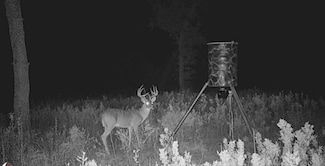 3747 Sparta Field Rd, Waelder, TX 78959