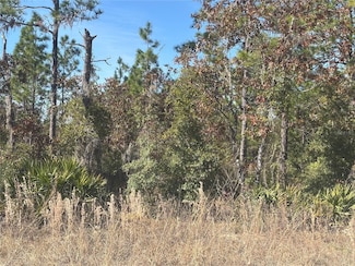 0 NE 106th Ct, Archer, FL 32618