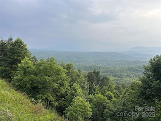 0 Golden Ridge Dr Unit CAR4274892, Lake Lure, NC 28746