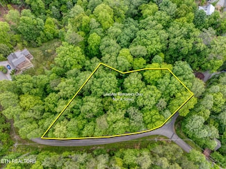 0 Ace Gap Rd Unit 1300925, Townsend, TN 37882