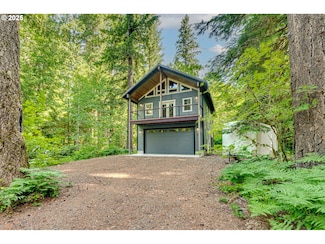 199 Northwoods Cabin, Cougar, WA 98616