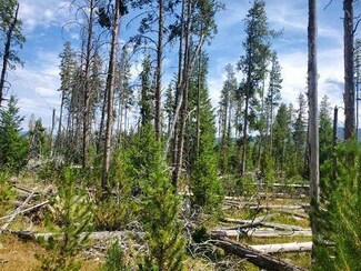 8 Mossy Ln, Anaconda, MT 59711