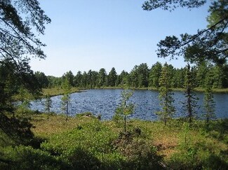 0 County Road 407 Unit 10-935, McMillan Township, MI 49868