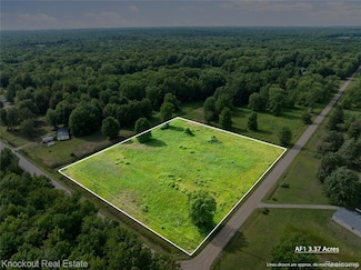 #0103 V L Nature's Nest, Vassar, MI 48768