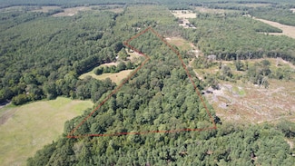 0 Plainview Rd, Pineland, TX 75968