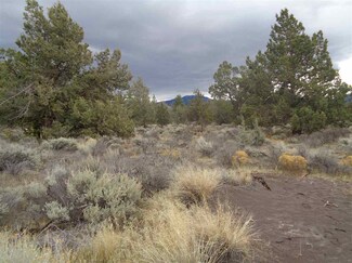 Blk 32 Lot 3 Sand Piper Rd, Montague, CA 96094