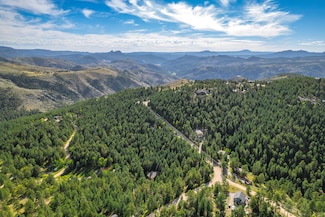 360 Hi Meadow Dr, Bailey, CO 80421