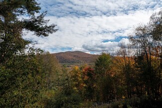 541 Deer Run Rd, Pawlet, VT 05761