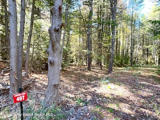 497 Campbell Rd, Ashland, NY 12496
