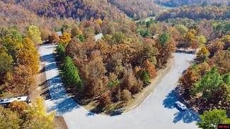 002-11225-009 Rolling Hills Ln, Norfork, AR 72658