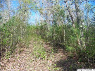 0 Jackson Trail Unit 20 AC 526712, Altoona, AL 35952