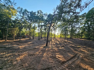 0 S Pennsylvania St Unit 21094498, Malakoff, TX 75148