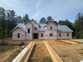 3025 Long Branch Dr, Calera, AL 35040