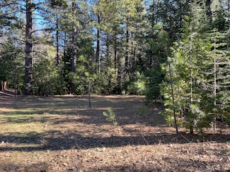 0 Emigrant Trail Unit 24-3110, Shingletown, CA 96088