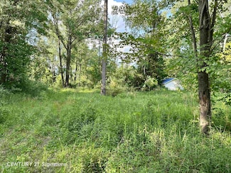 4020 Wieman Rd, Beaverton, MI 48612