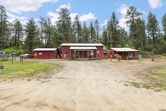1199 & 1242 E Stollsteimer Rd, Pagosa Springs, CO 81147