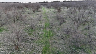 TBD Cr 334, Woodson, TX 76491
