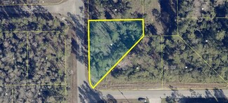 545 Millcreek St, Lehigh Acres, FL 33974