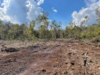 TBD SW Mount Olive Church Rd, Greenville, FL 32331