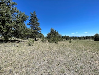 359 Jasper Way, Hartsel, CO 80449