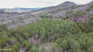 545 Harlan Mountain Rd, Tellico Plains, TN 37385