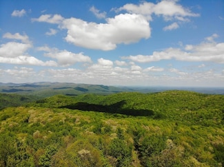 0 Burnt Mountain Cove Rd Unit 7504095, Jasper, GA 30143