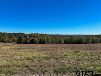 tbd Cr 314, Henderson, TX 75652