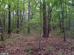 0 Pendleton Rd, Mineral, VA 23117