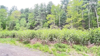 33 E Maine Rd, Johnson City, NY 13790